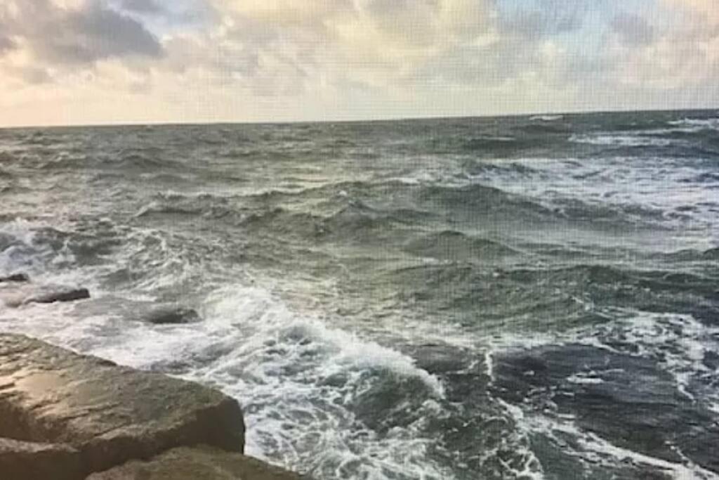 Cozy Beachside Condo With Pool View Corpus Christi Exterior foto